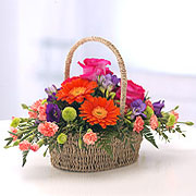 Vibrant Basket