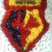 Watford FC